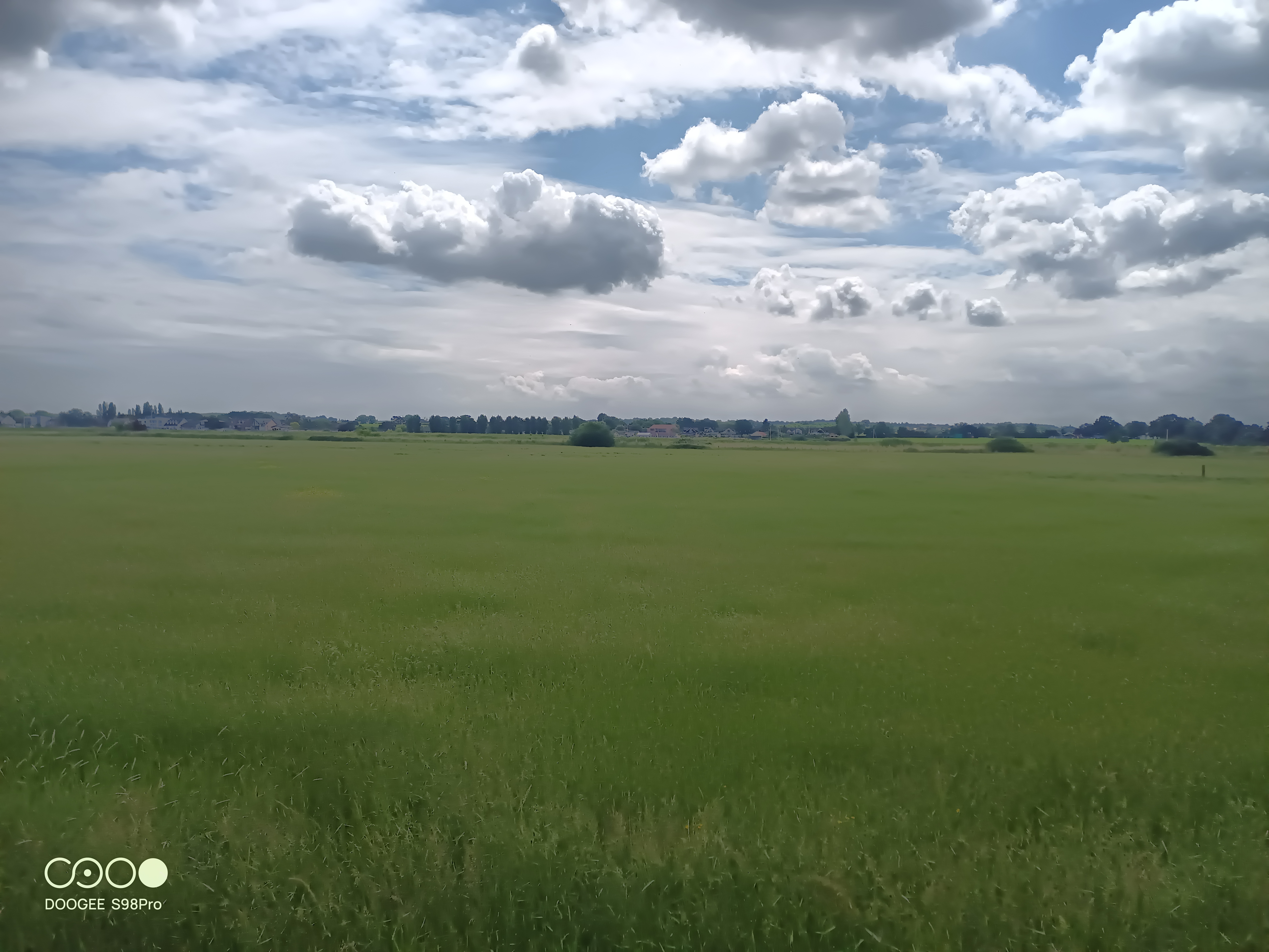 Doogee S98 Pro cámara paisaje hierba
