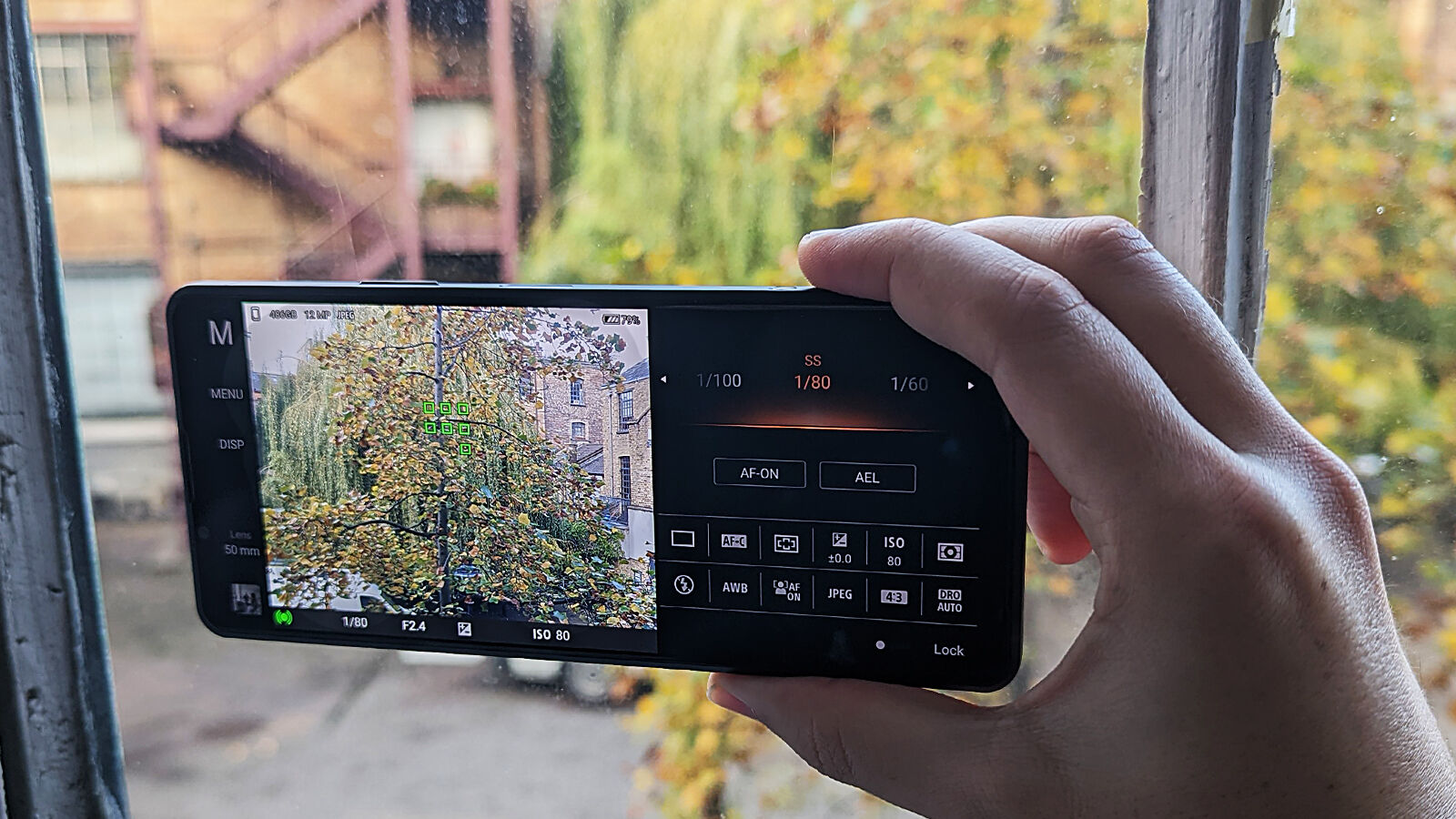 Sony Xperia Pro I Photo Pro viewfinder tree